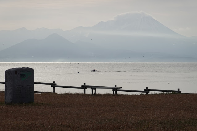 鳥取県境港市潮見町 境港 昭和北緑地