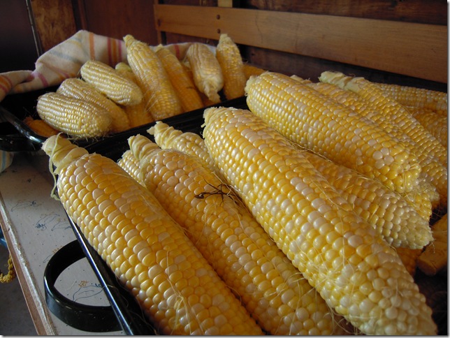 corn 001