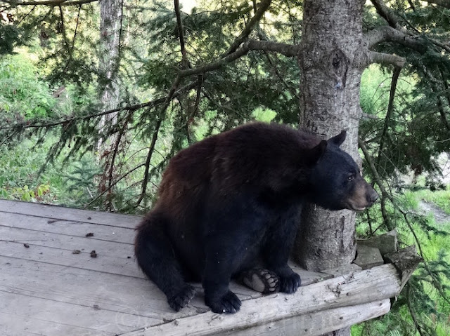 parc omega