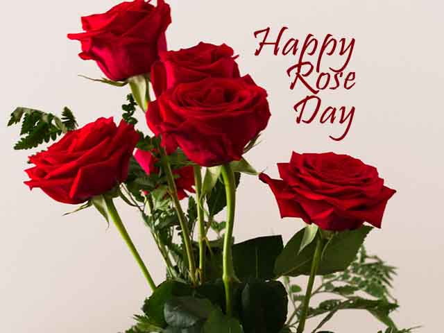 Happy Rose Day 2022 Images, Wallpapers, Pics & Photos