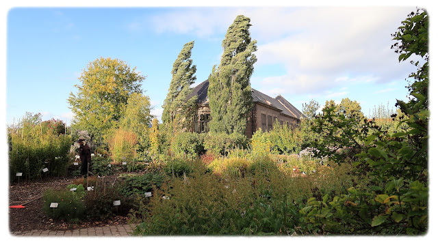 Oldemors hage i Botanisk hage. Bak ser vi litt av Zoologisk museum.