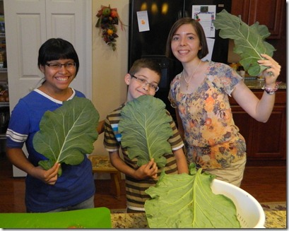 Collard Madness