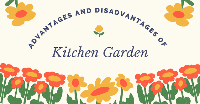 Advantages and Disadvantages of Kitchen Garden