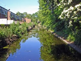 Croydon Canal in Betts Park