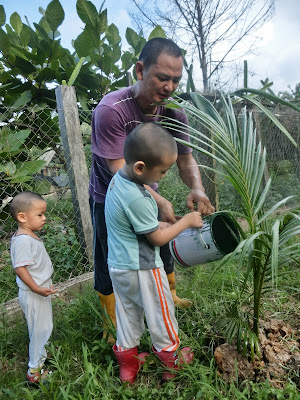 Ajar anak berkebun tanam pokok kelapa mudah dan cepat