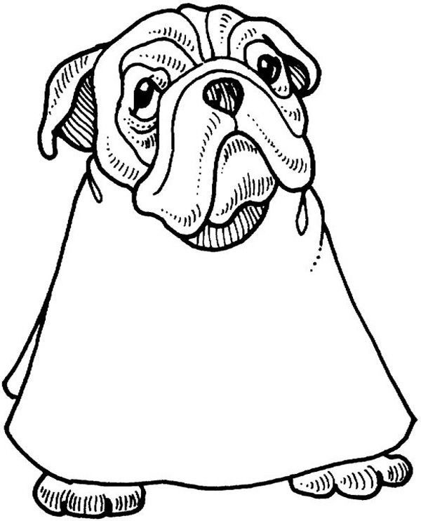 animals coloring page