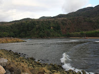 MENGUNJUNGI TEMPAT WISATA PANTAI PANCER PUGER YANG INDAH JEMBER JAWA TIMUR