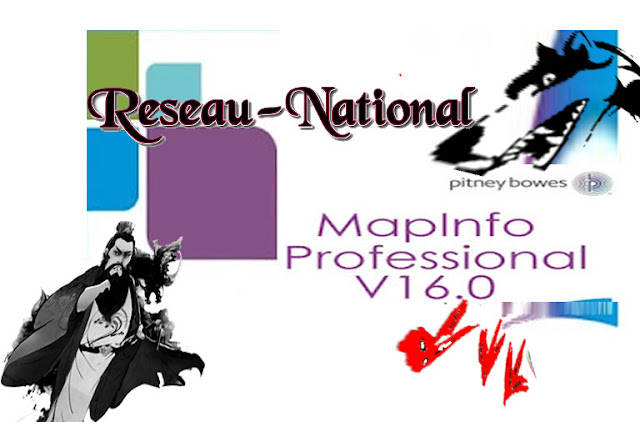 MapInfo Professional 16