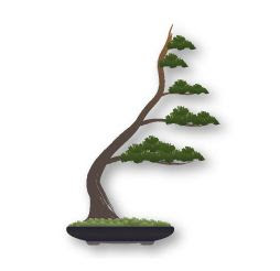 bonsai Windsock