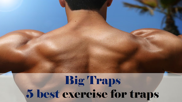 Get Bigger Traps, 5 best exercise for big traps