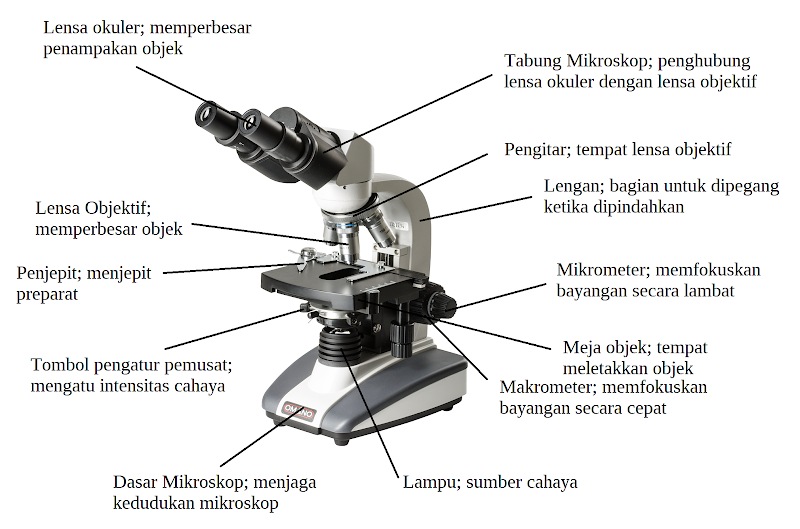 Inspirasi Top Gambar Mikroskop Beserta Fungsinya