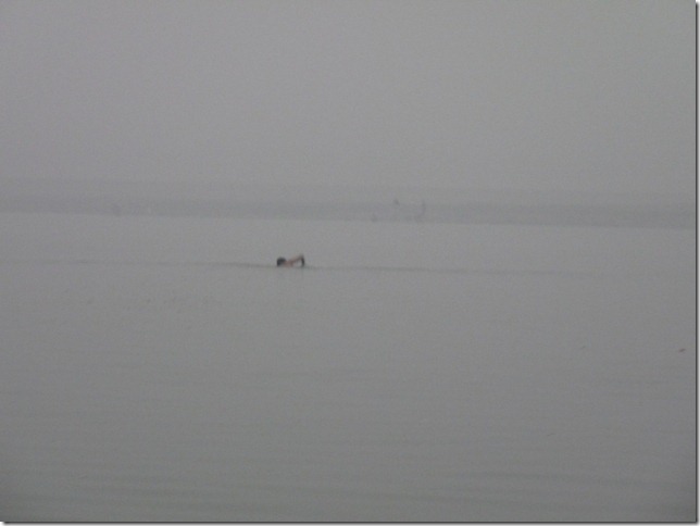 2008.12_india_1786