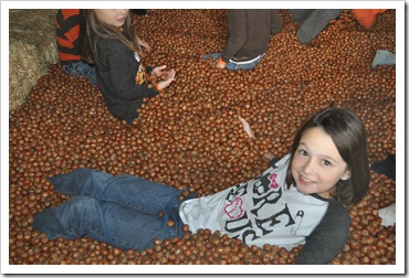 pumpkin patch 024
