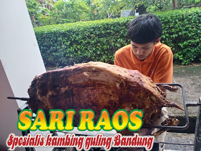 Spesialis Kambing Guling Murah di Cimahi Selatan,Spesialis Kambing Guling Murah di Cimahi,Spesialis Kambing Guling Murah,Kambing Guling Cimahi,Kambing Guling,