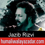 https://www.humaliwalayazadar.com/2019/10/jazib-rizvi-nohay-2020.html