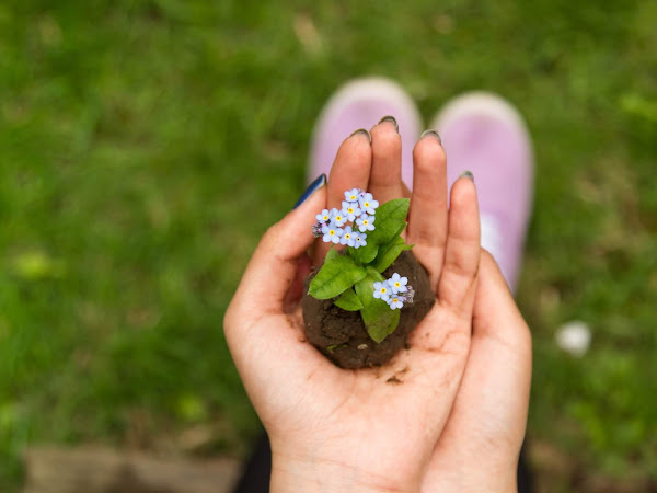 How to give your garden a new look for summer