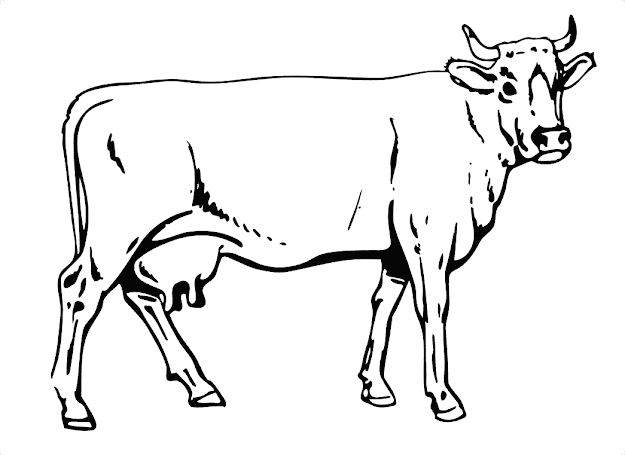 Pets Coloring Pages 