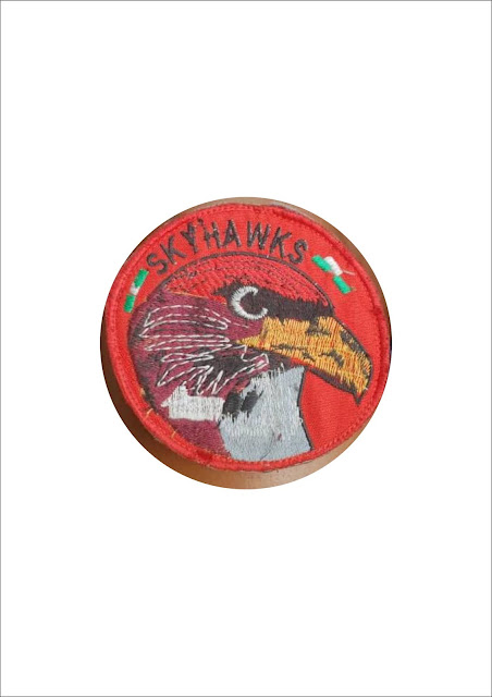 The Nigerian AirForce Sky Hawks Patch
