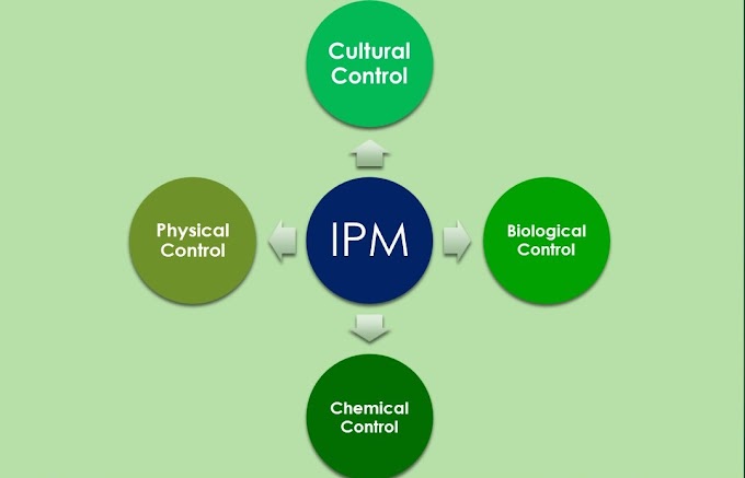 एकीकृतनाशी जीव प्रबन्धन Integrated Pest Management (IPM)