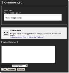 screenshot_embeded_comment_form