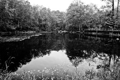 IMG_4209
