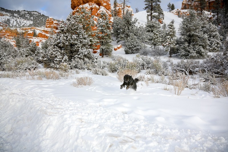 red canyon-5