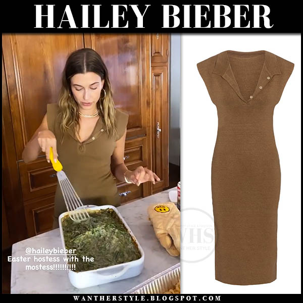 Hailey Bieber in brown knit sleeveless dress