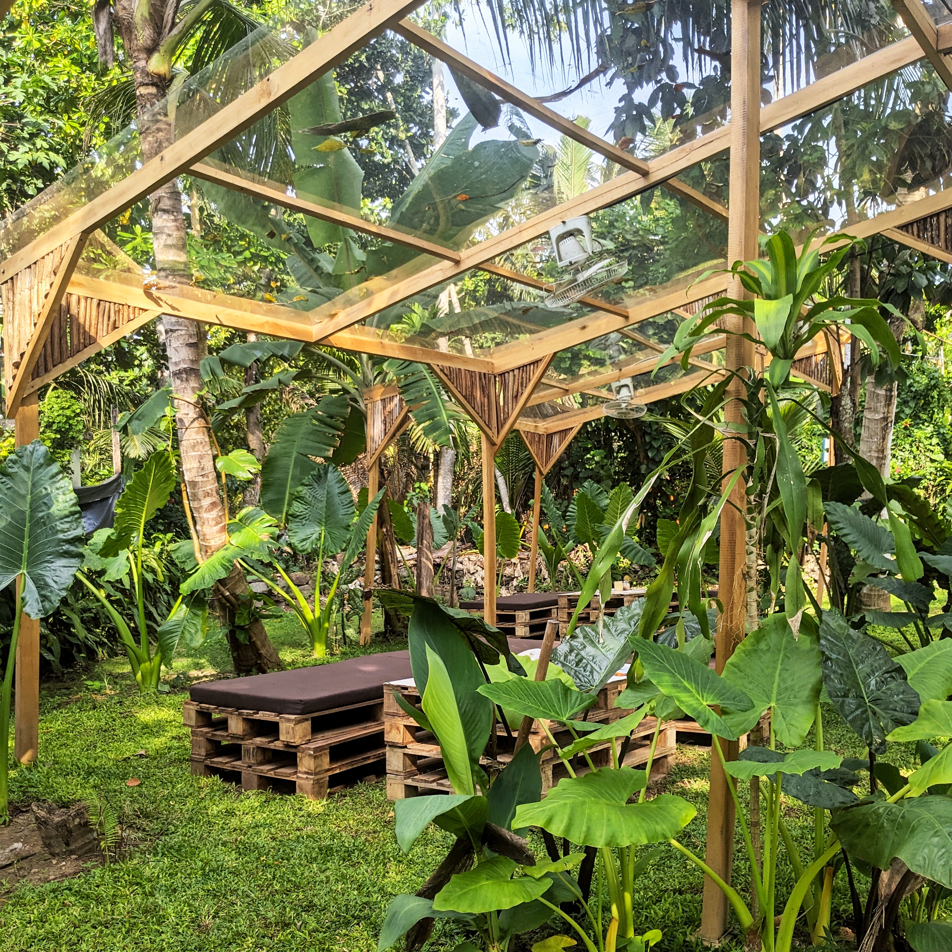 The garden at Komorebi restaurant, one of the best places to eat at in Madiha, sri lanka