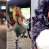 “I can never marry a man with small D, My bag can buy you a car” — Vera Sidika Blasts Haters