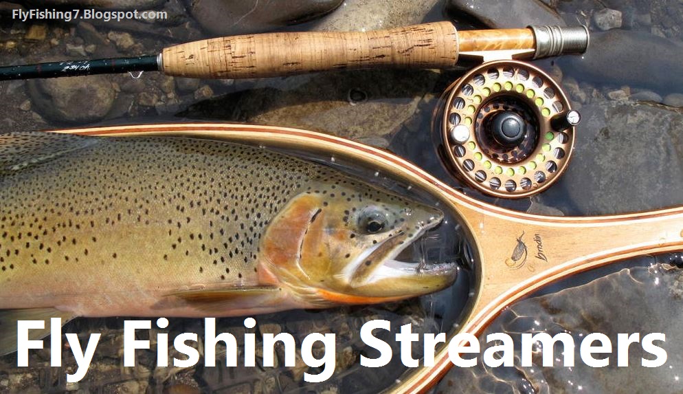 Fly Fishing Streamers