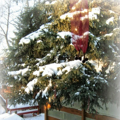 Even the birds need some Christmas - Bird Seed Christmas Ornaments