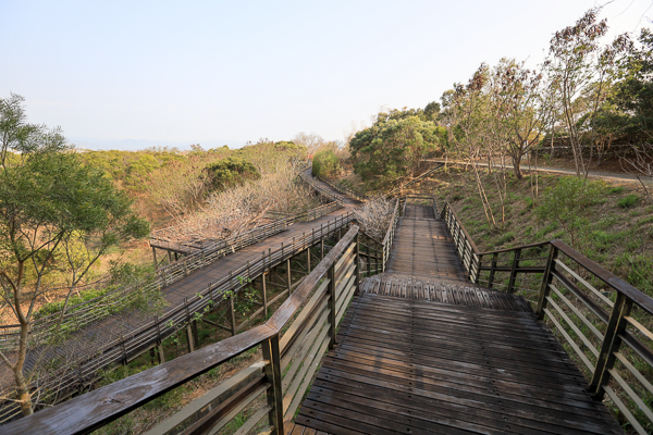 台中西屯中科東大公園400公尺九重葛花牆 、諾亞方舟步道散步