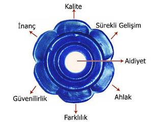 tek cati ortak aidiyet 3