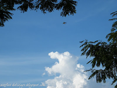 Kites In The Sky. There are kites in the sky.