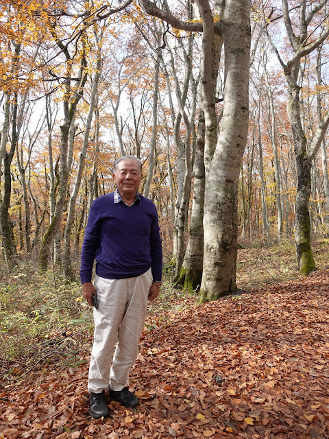 大山の紅葉の観光に来られた方