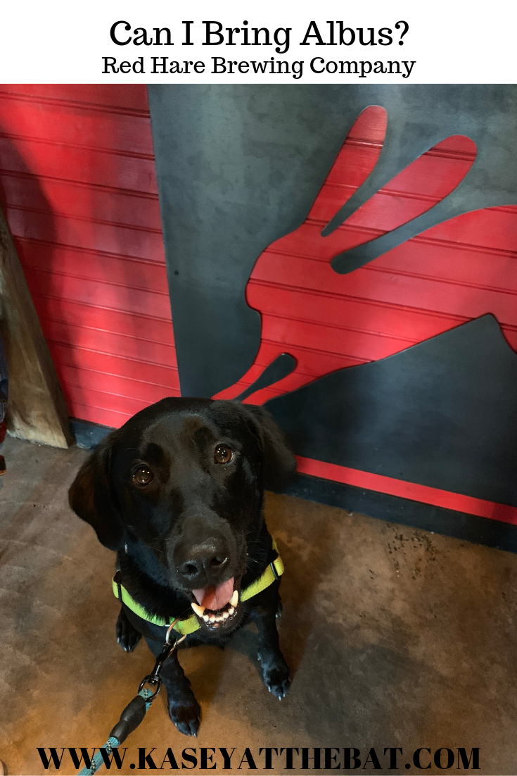 dog in front of red hare rabbit logo on bar