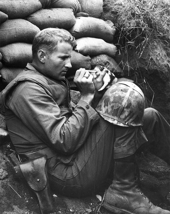 60 Inspiring Historic Pictures That Will Make You Laugh And Cry - Marine Sergeant Frank Praytor Feeding An Orphaned Kitten. He Adopted The Kitten After The Mother Cat Died During The War.