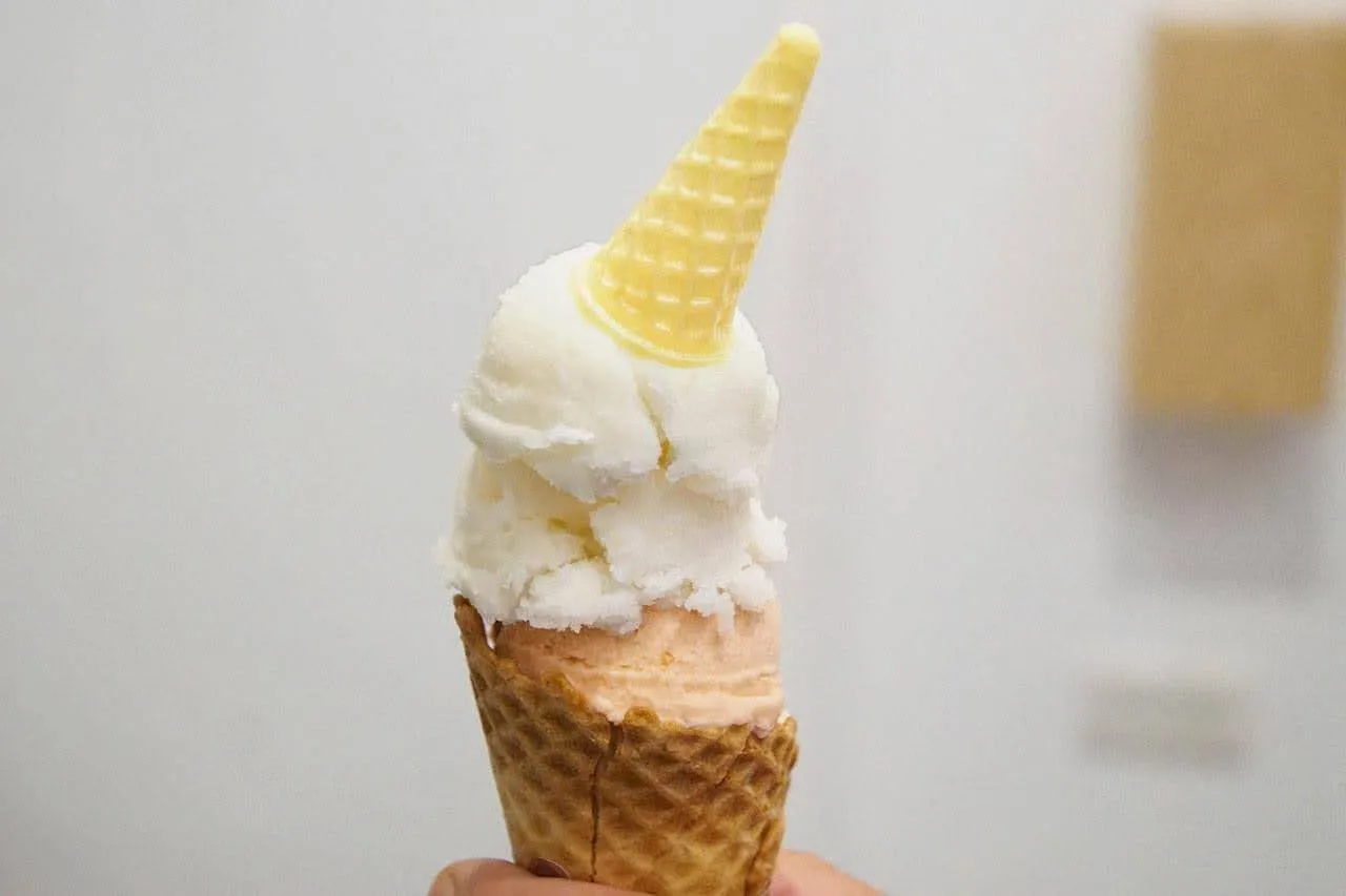 [台南][東區] 鉅蕉 CHU CHIAO｜你想得到、想不到的冰淇淋口味這裡都有｜食記
