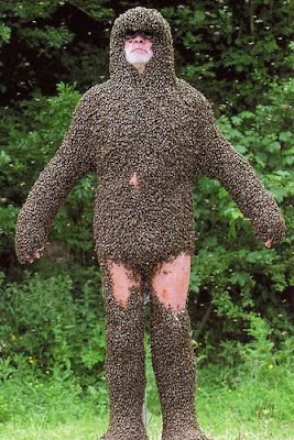 bee costume