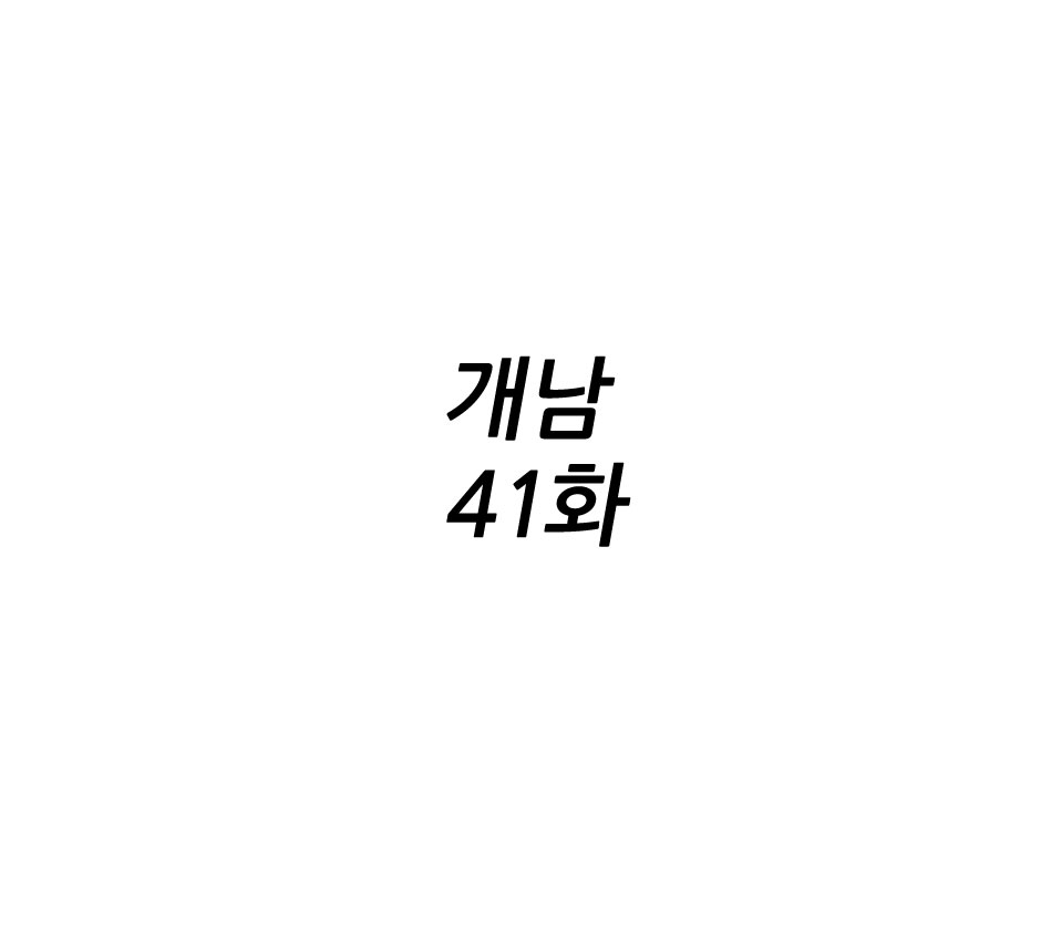 개남41화