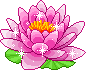 Gif de flor