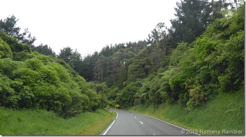 P1020895