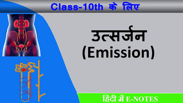 Emission-उत्सर्जन-class10-notes-in-hindi-careercrafters