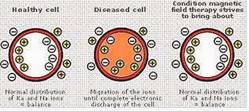 pemh health cell