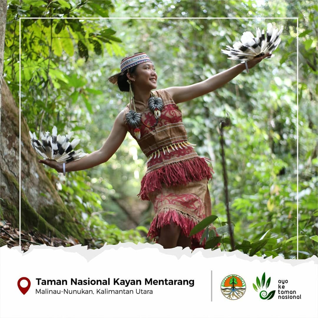 Taman Nasional Kayan Mentarang adalah salah satu taman nasional yang terletak di Provinsi Kalimantan Utara, Indonesia. Taman nasional ini merupakan bagian dari kawasan hutan tropis yang sangat besar dan penting di pulau Kalimantan, dengan luas sekitar 1,35 juta hektar.  Taman Nasional Kayan Mentarang memiliki sejarah yang sangat panjang, karena kawasan ini telah dihuni oleh suku Dayak sejak ribuan tahun yang lalu. Suku Dayak yang mendiami kawasan ini memiliki tradisi dan kebudayaan yang khas, serta mampu menjaga kelestarian alam di sekitar mereka.