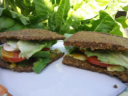 Raw Vegan Veggie Sandwich