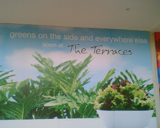 the terraces ayala