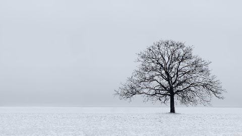 CUENTO Navidad en tercera persona | José Luis Aguirre