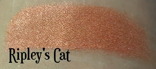 Darling Girl Ripley's Cat Swatch