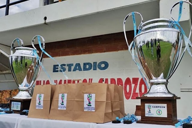 La Copa Entre Ríos 2024 contará con cinco equipos que representarán a Concordia